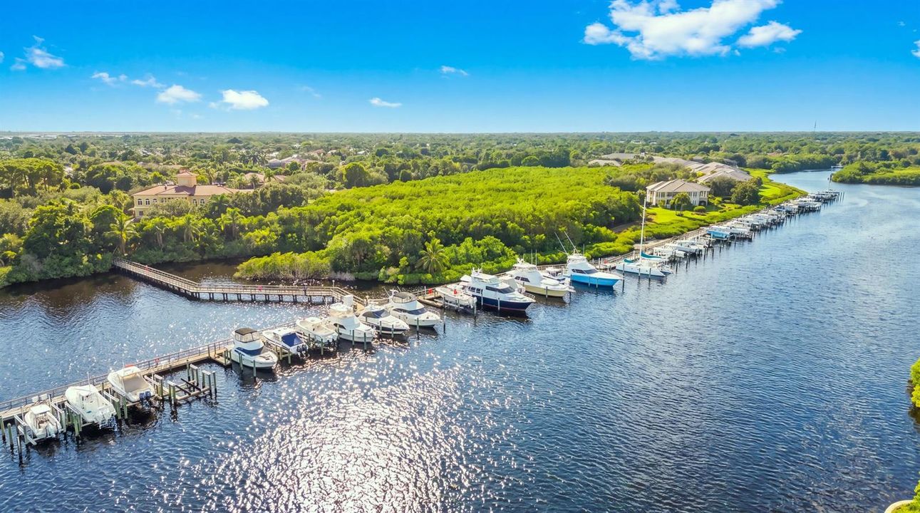 52_palm city + palm cove golf & yacht cl