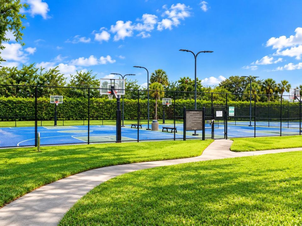 Sunny Tropical Basketball Court Park