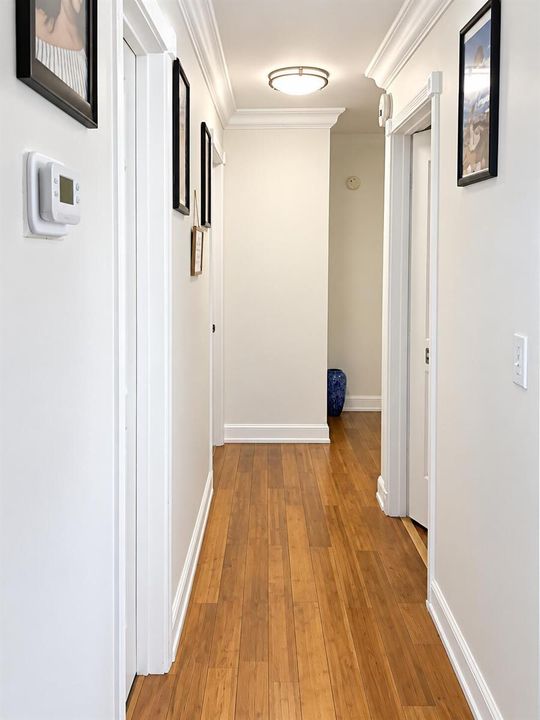 Bright Modern Hallway with Blue Vase