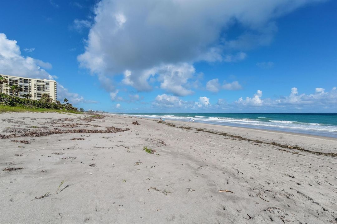 OceanTrailAmenities(12)
