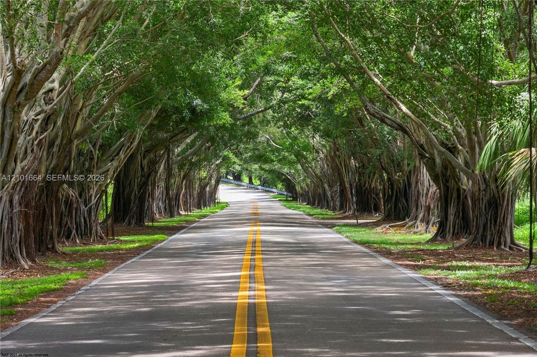 For Sale: $2,900,000 (0.58 acres)