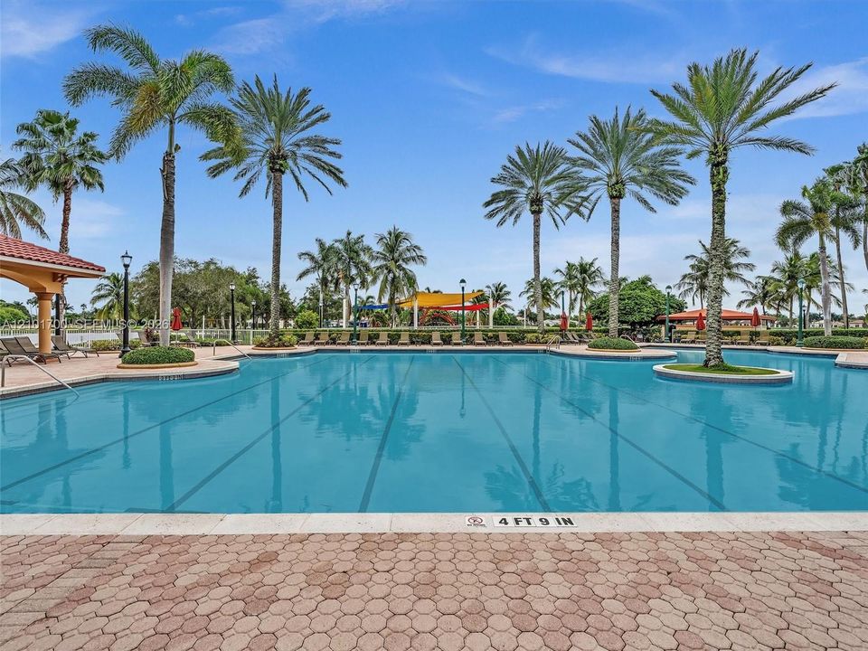 Olympic Size pool