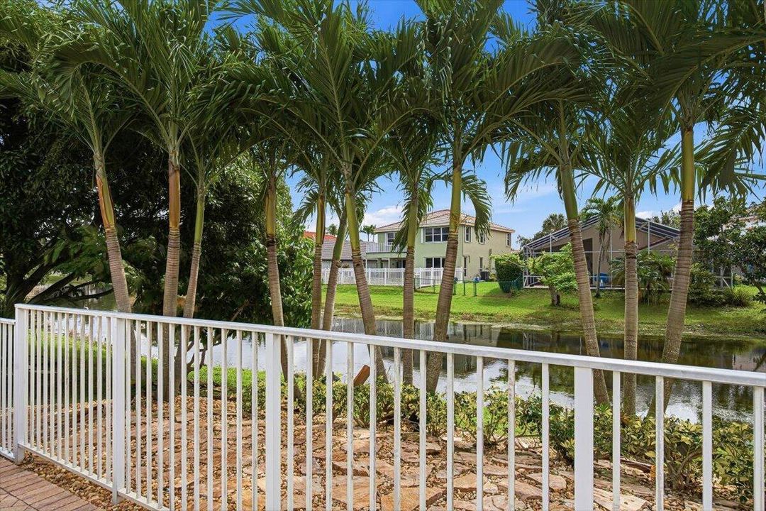 12-Backyard-View