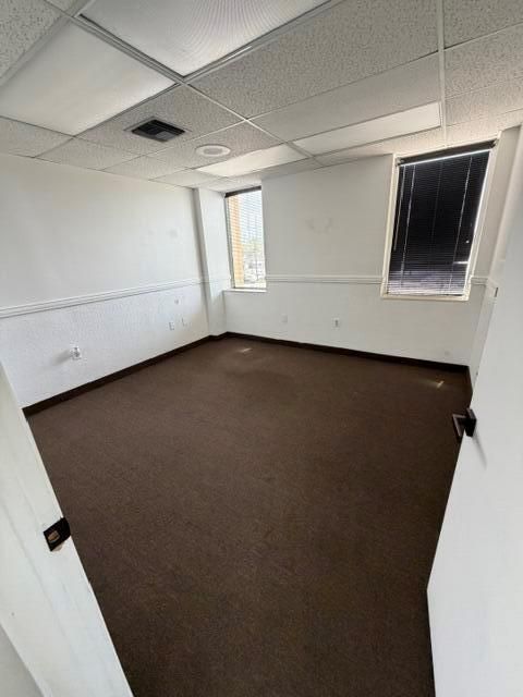 image3 (16)