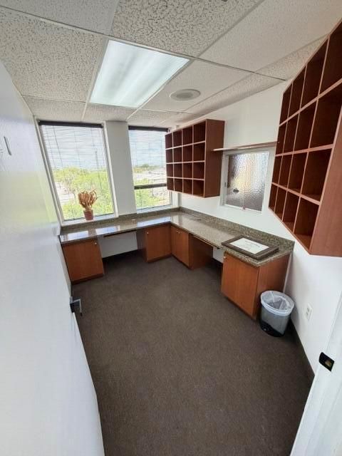 image1 (20)