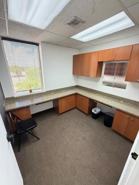 image2 (20)