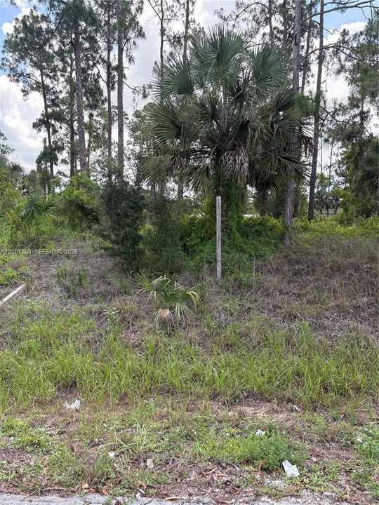 На продажу: $27,000 (0.50 acres)