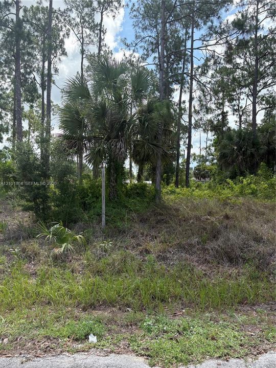 На продажу: $27,000 (0.50 acres)