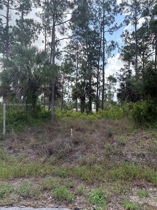 На продажу: $27,000 (0.50 acres)