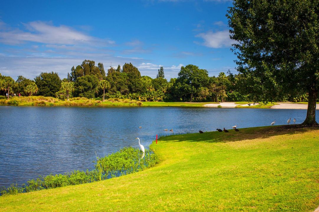 Indian River Club Stock - 23