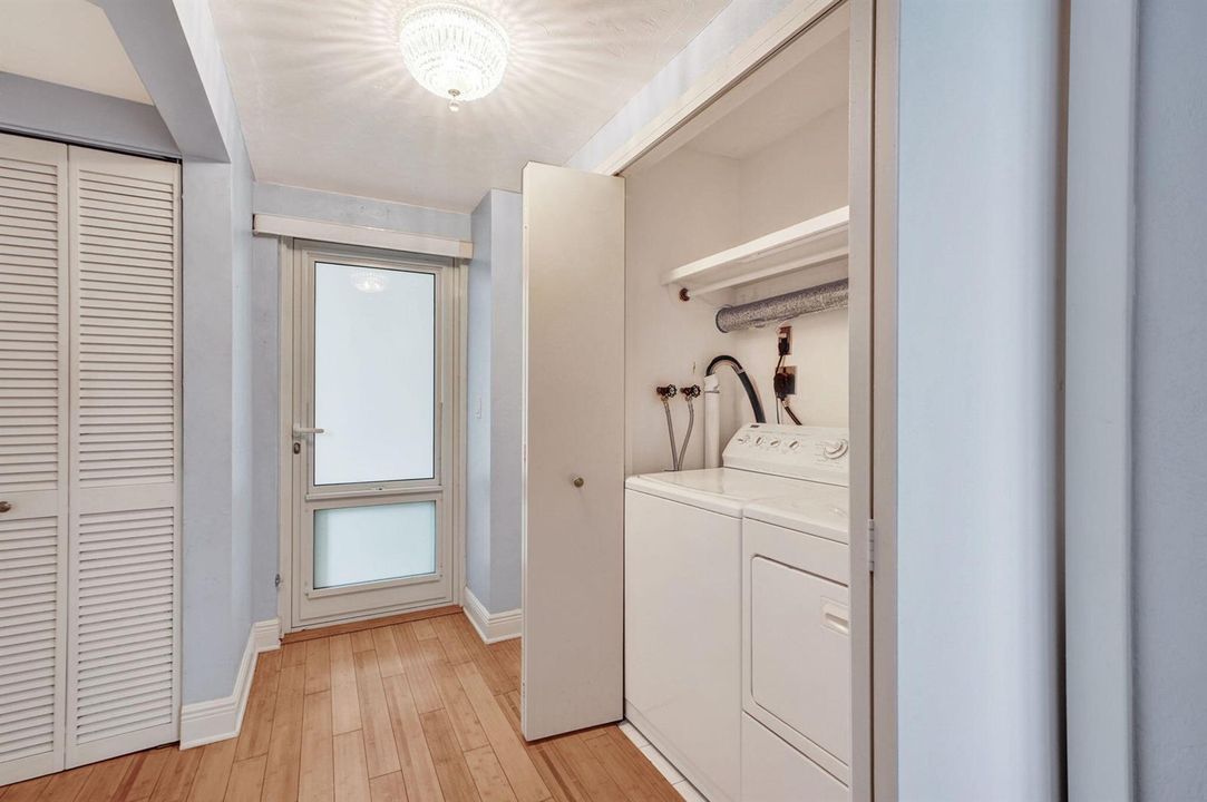 52-web-or-mls-DSC01030