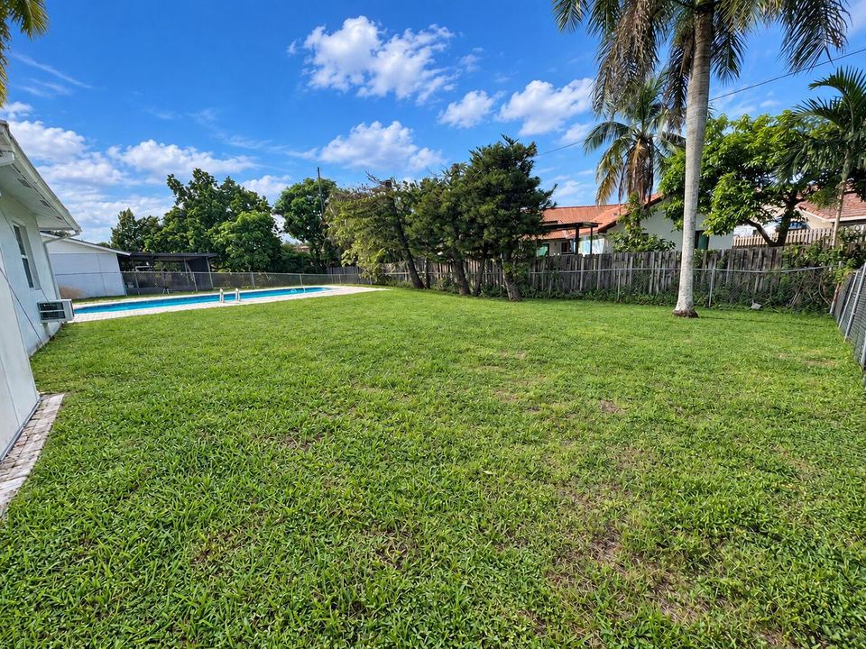 Backyard