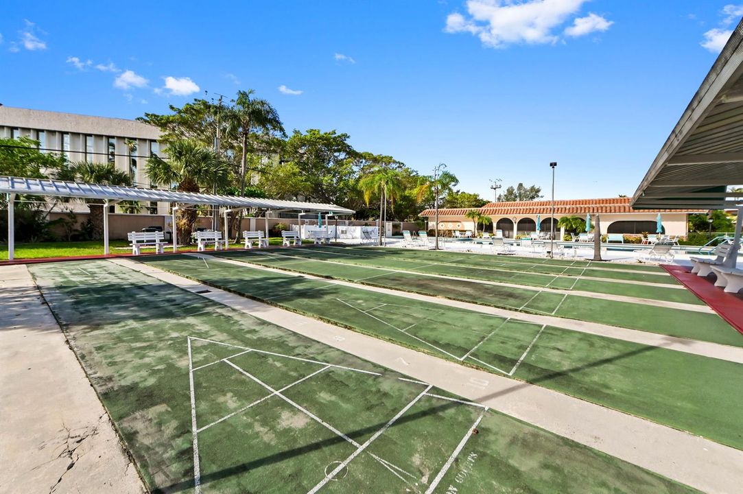31 shuffleboard 01
