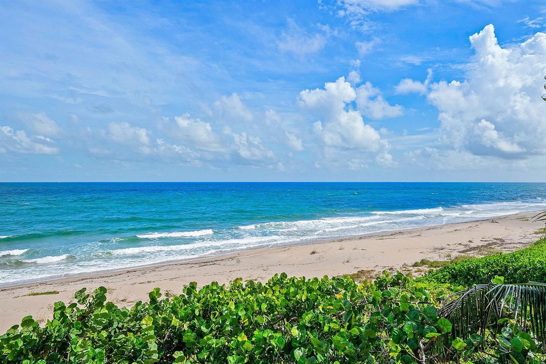 3851 N Ocean Blvd - 311