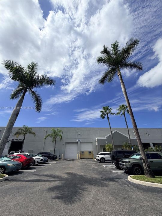 Paved parking lot with mature palm trees, featuring an industrial building with multiple bay doors and a prominent "ELECTRONIC" sign