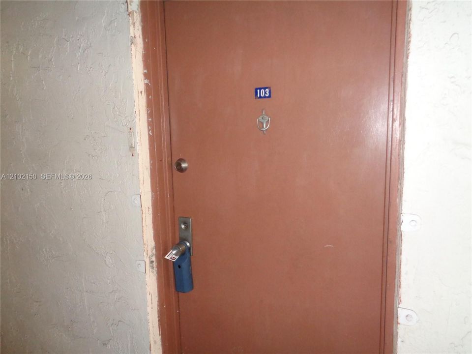 Entrance Door