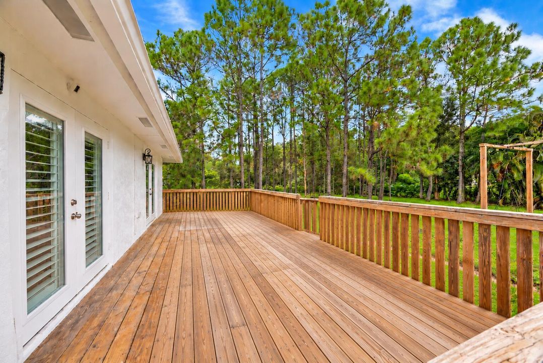 Empty Wooden Deck Overlooking Pine Woods