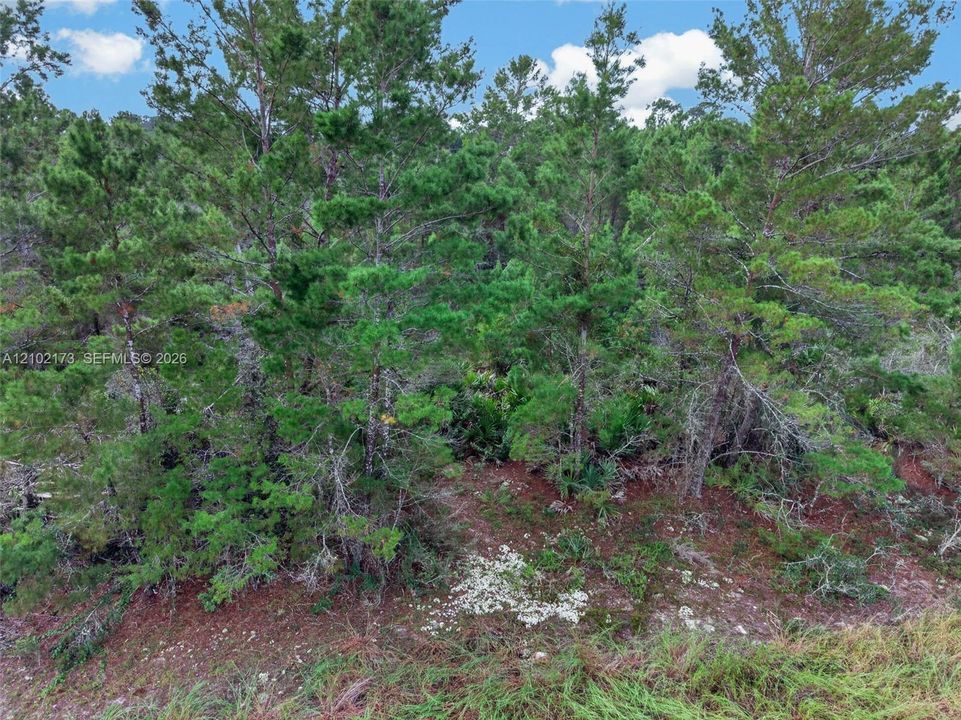 На продажу: $50,000 (0.23 acres)