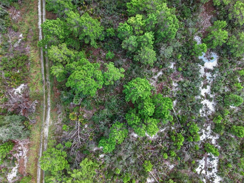 На продажу: $50,000 (0.23 acres)