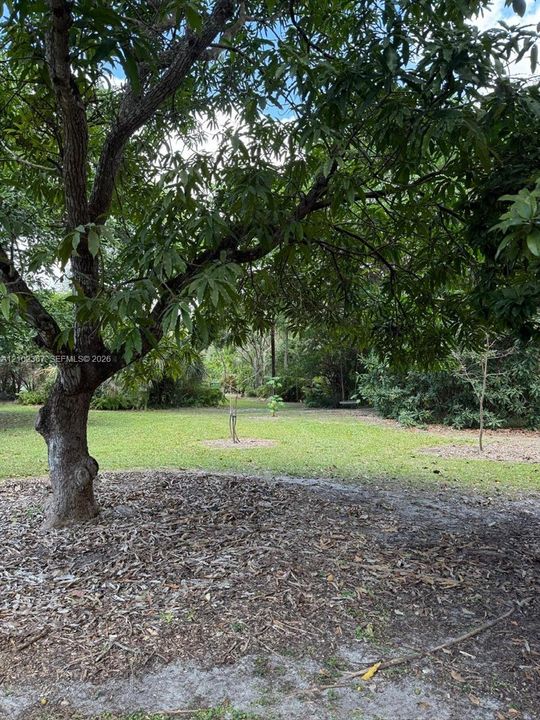 En Renta: $4,600 (4 camas, 2 baños, 2090 Pies cuadrados)