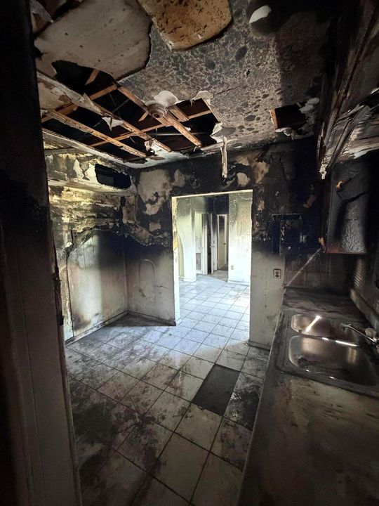 image1 (6)