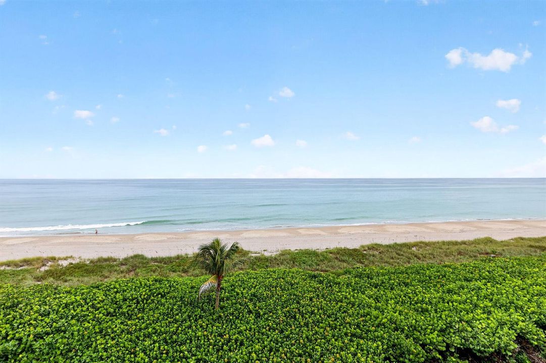 27-web-or-mls-5P1A6777