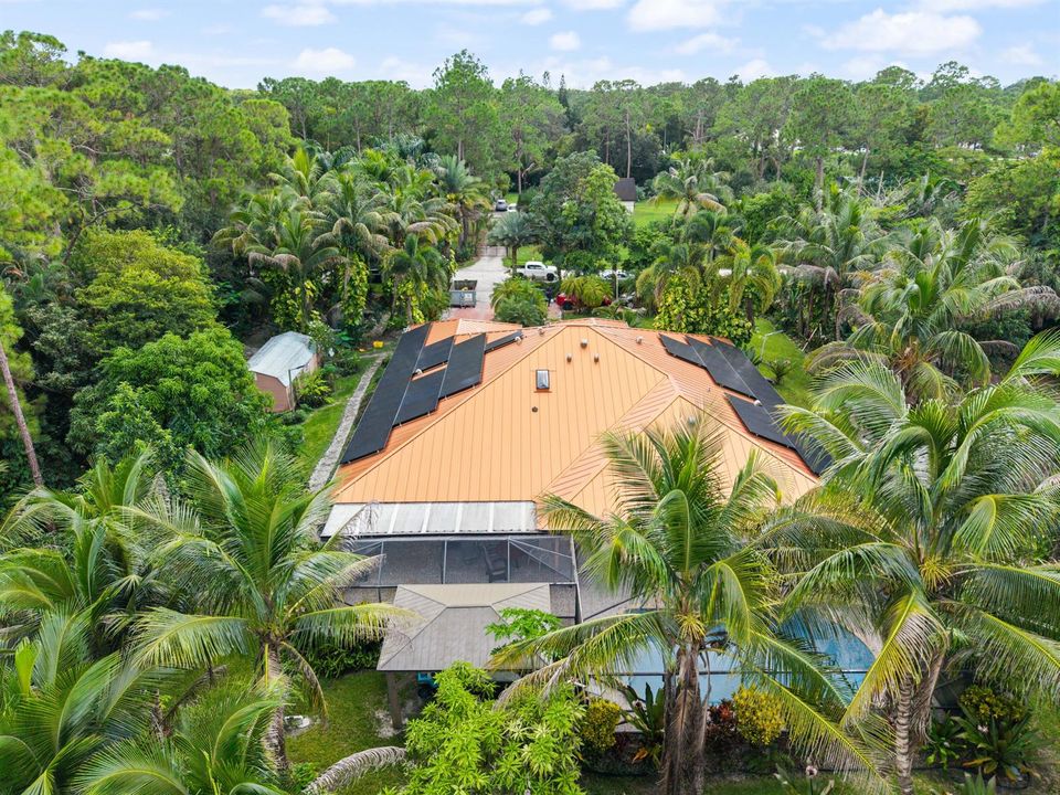 Drone Shot