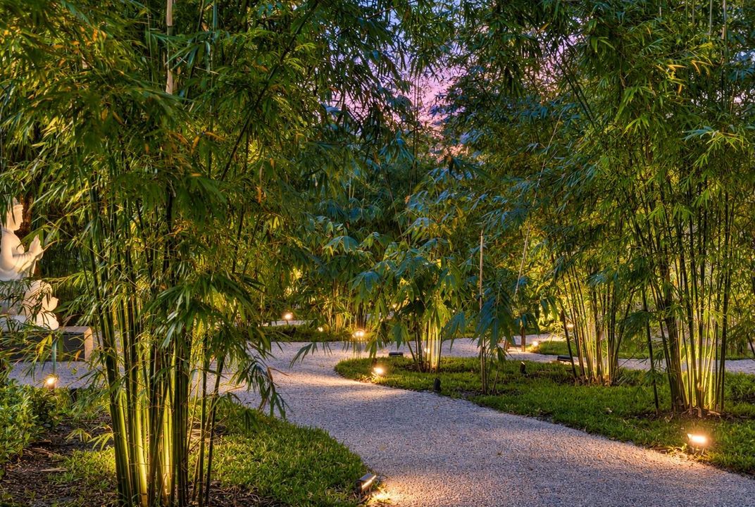 Twilight Garden Path Among Bamboo