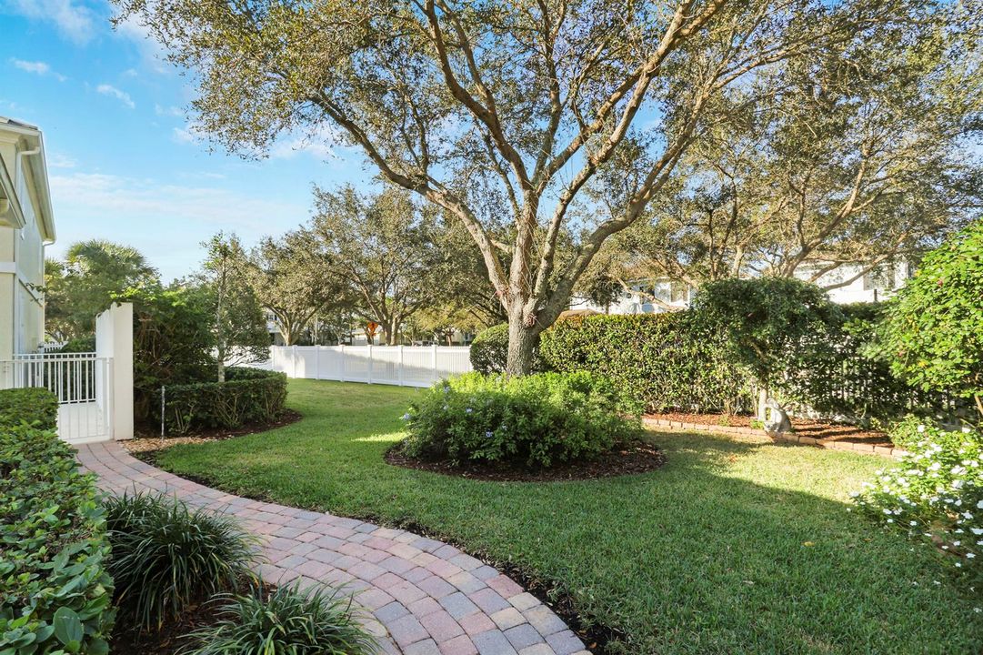 Fenced Yard and Patio