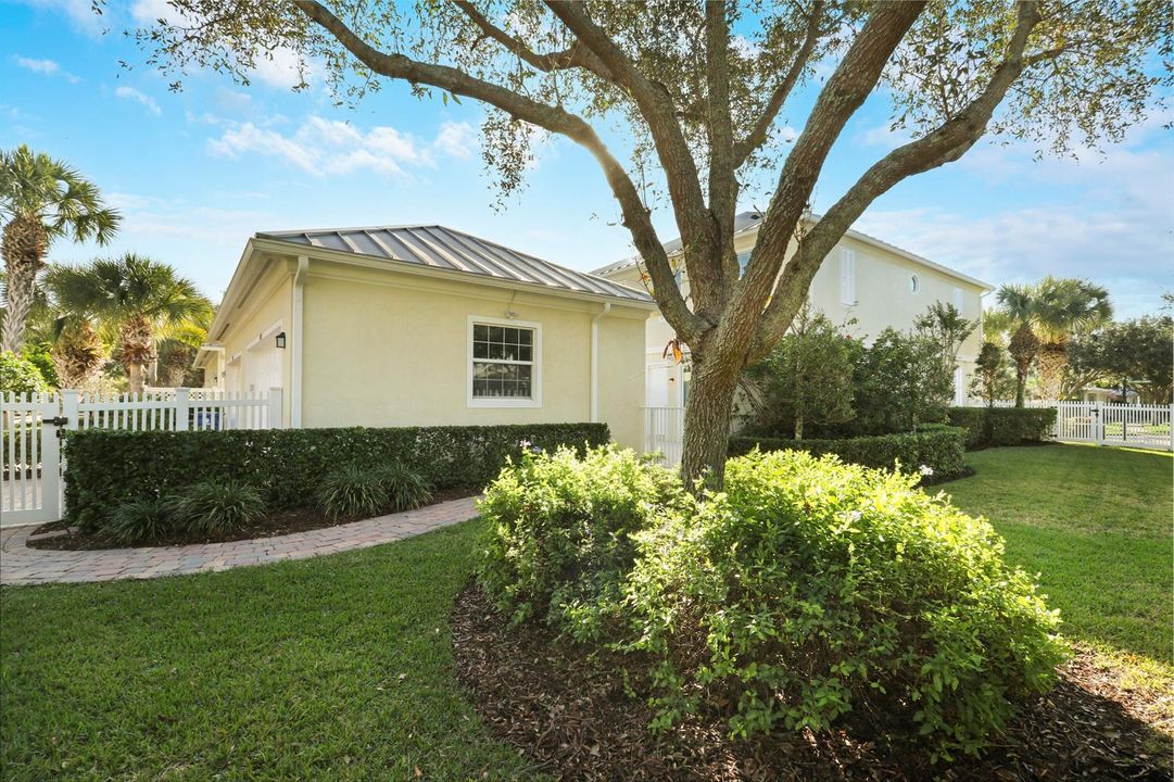 Fenced Yard and Patio