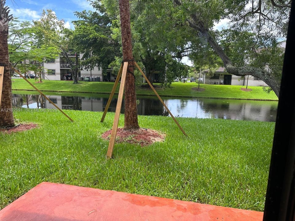 Waterfront grounds featuring a concrete patio, expansive grass lawn, and mature trees
