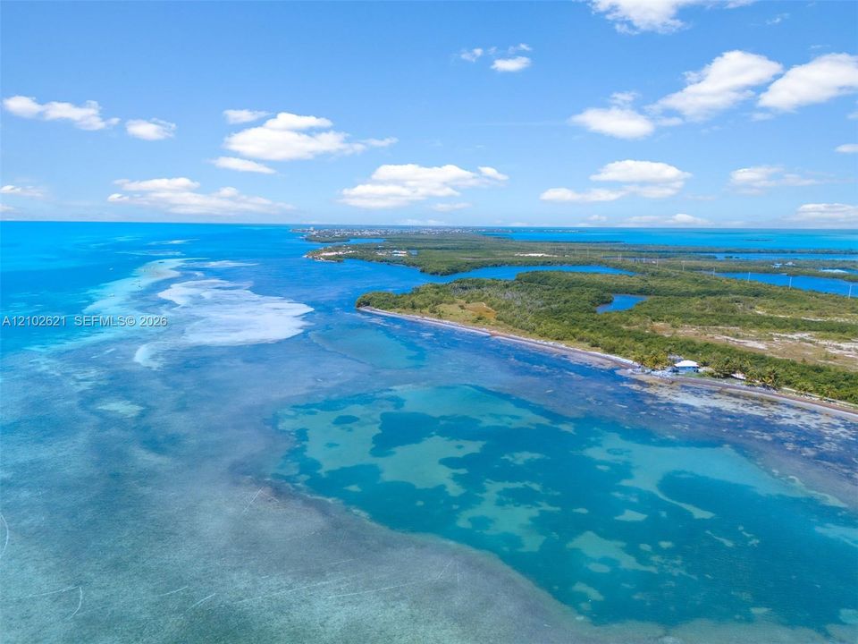 Expansive coastal waters with varied blue hues, a verdant shoreline, and distant land formations