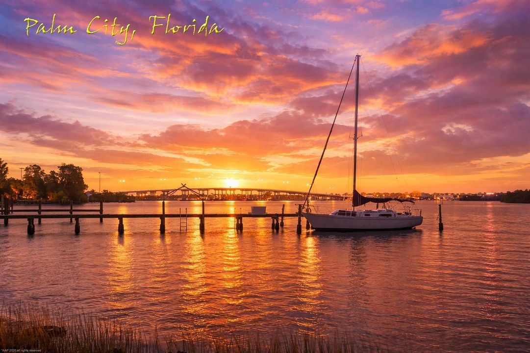 Palm City Bridge a AAP 2026
