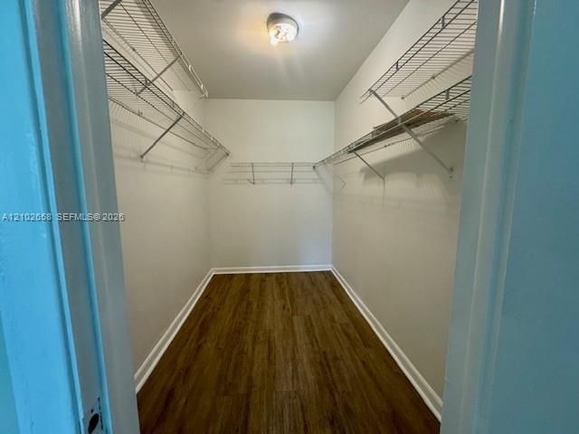Walking Closet