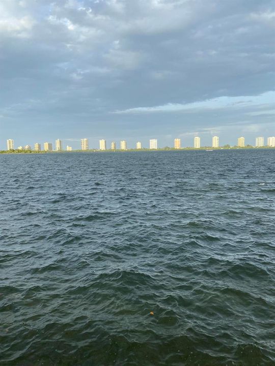 1130 Lake Shore Dr (4)