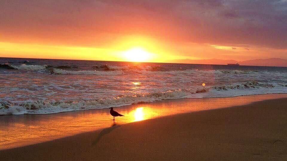 Sunrises