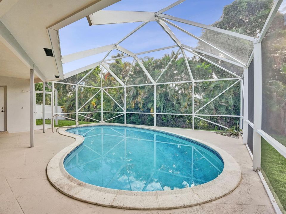 Patio / Pool 2