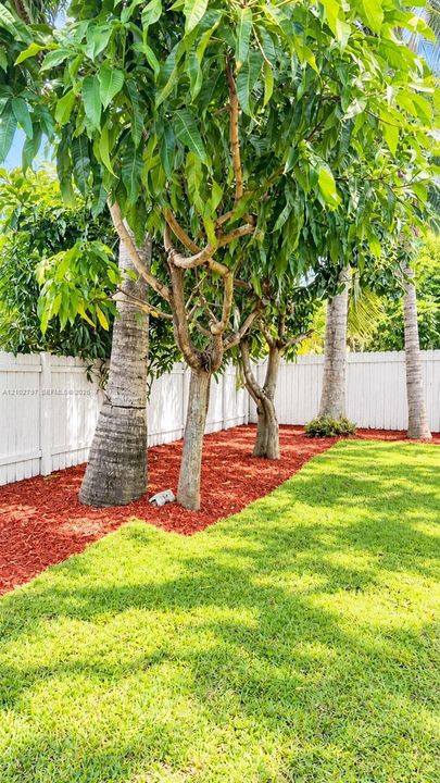 En Venta: $492,500 (3 camas, 2 baños, 1250 Pies cuadrados)