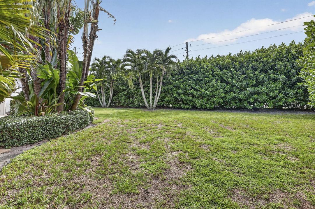 Backyard