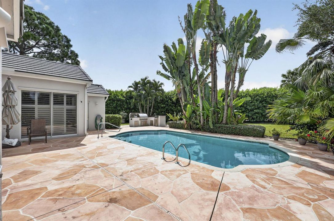 Pool - Backyard