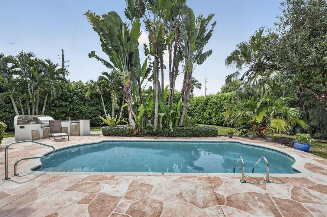 Pool - Backyard