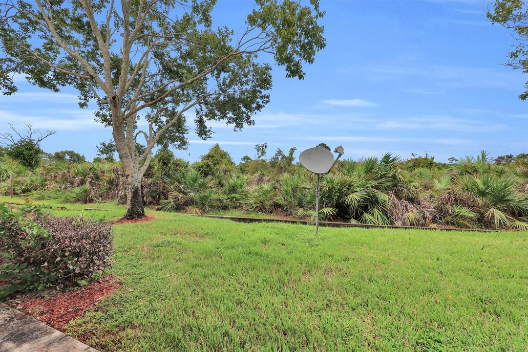 Backyard Area/Preserve View