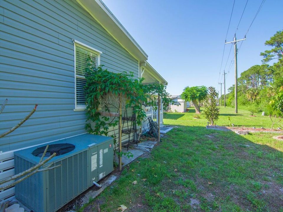 Yard