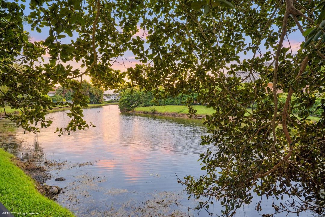 Waterfront View