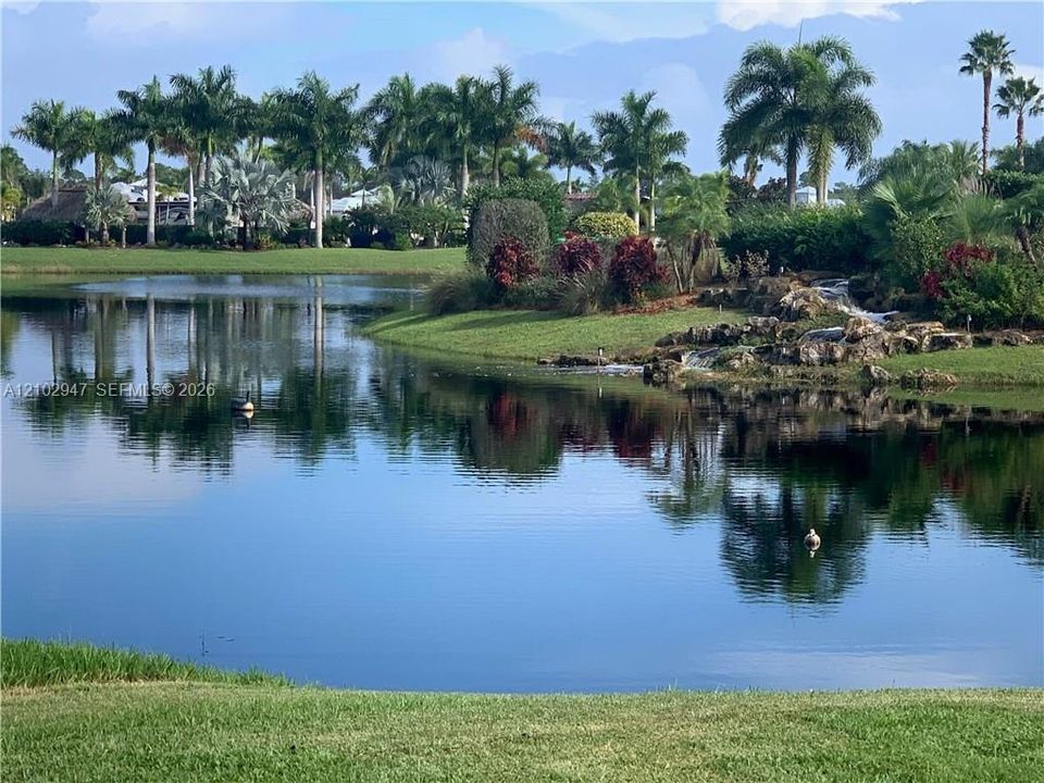 Waterfront property featuring a landscaped pond, stone rockery, waterfall feature, mature palm trees, and manicured lawn