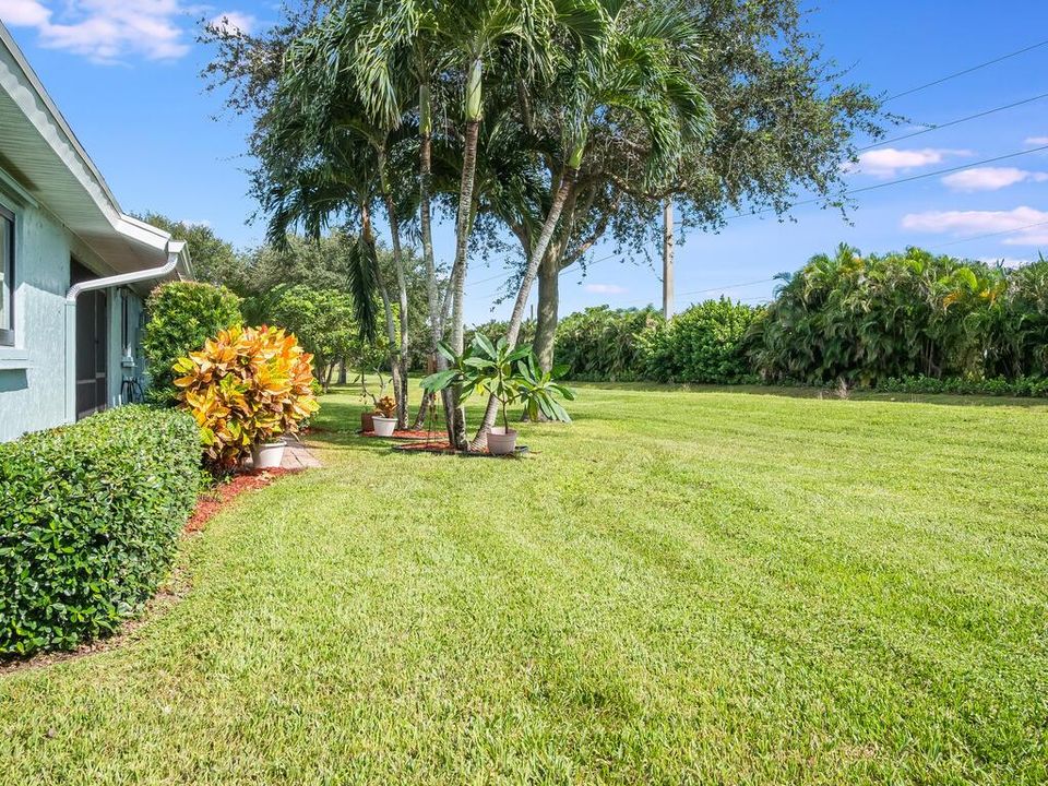 Back Yard View