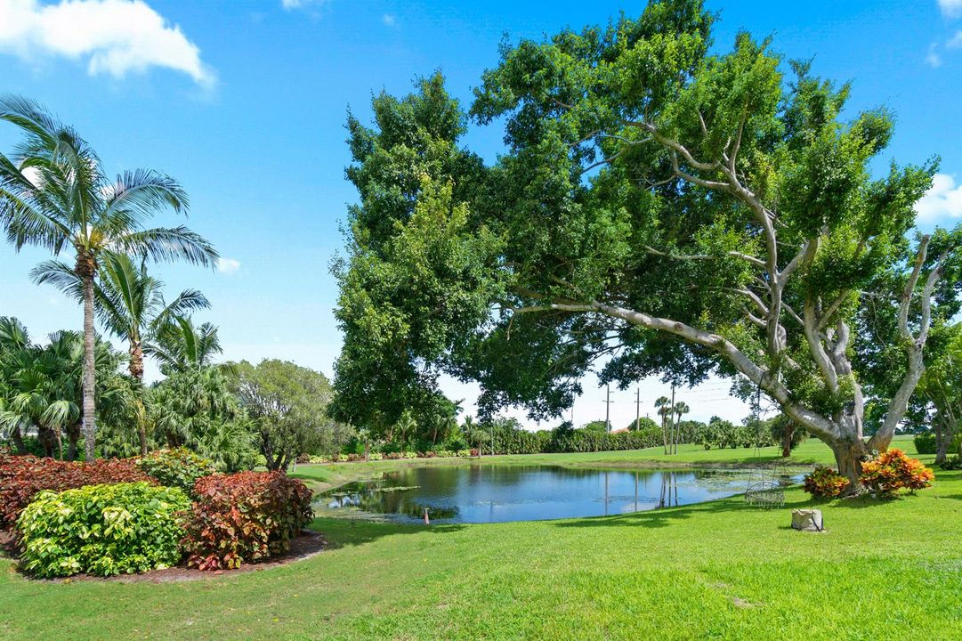 Golf/Lake View