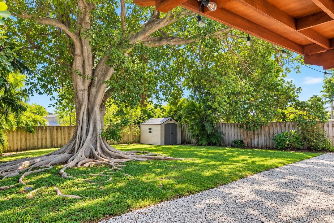yard