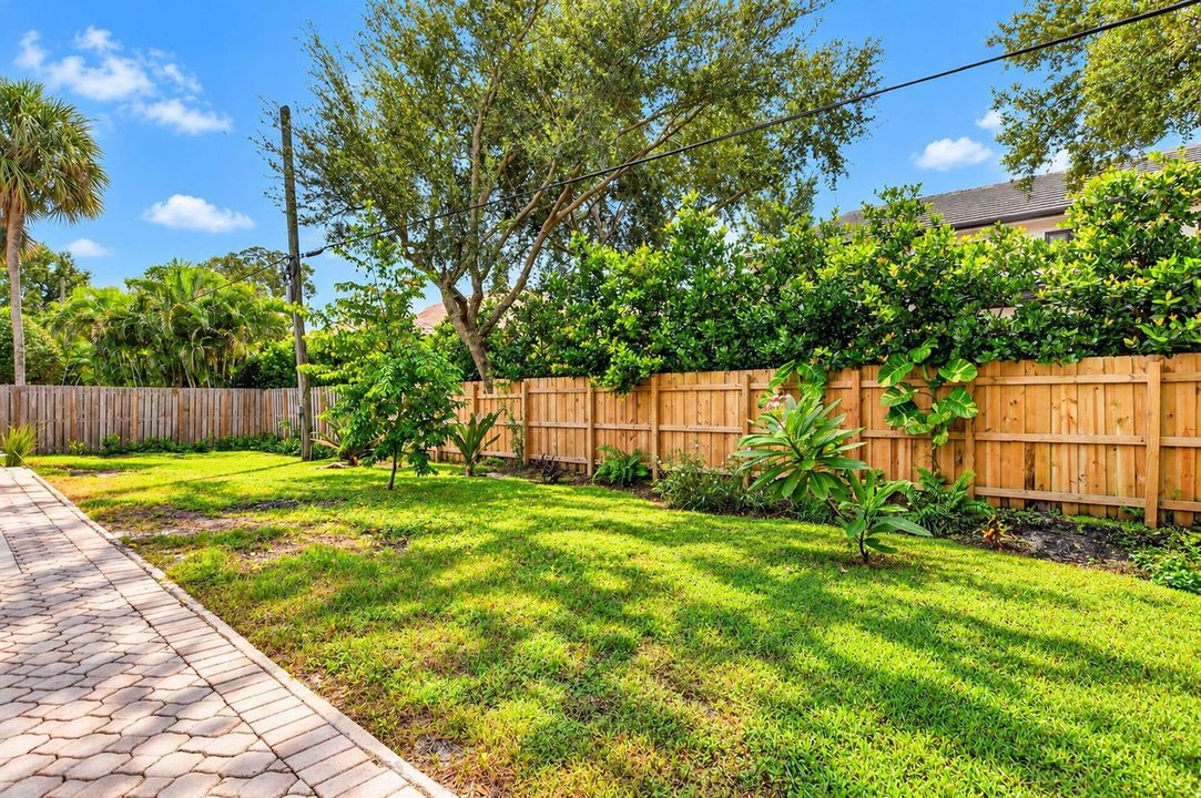 Backyard