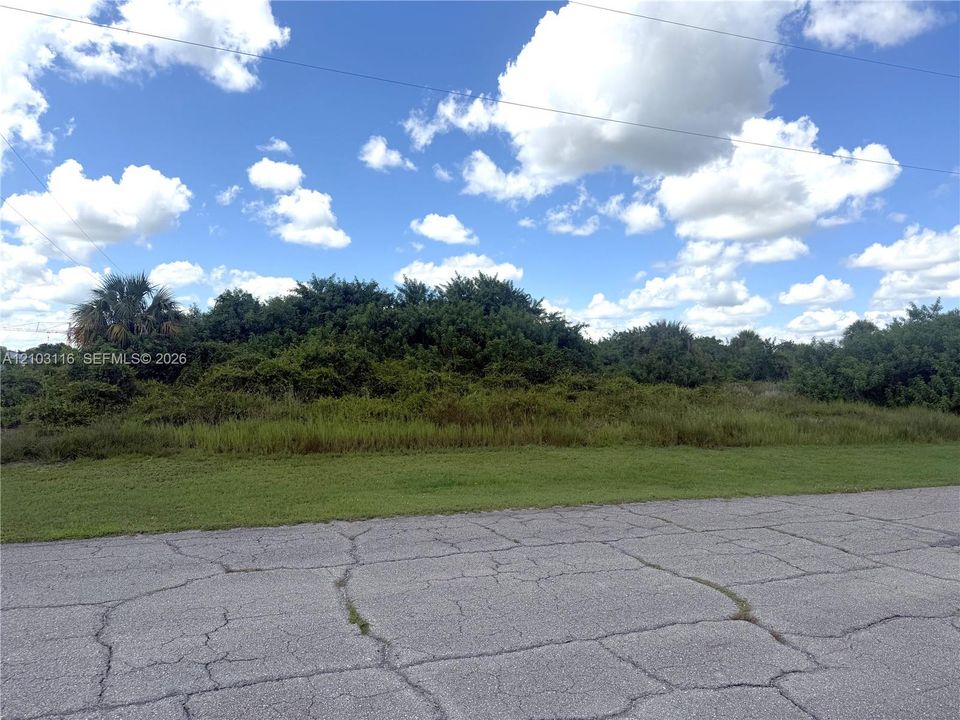 待售: $39,900 (0.42 acres)
